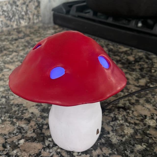 GAME OF SHROOMS!